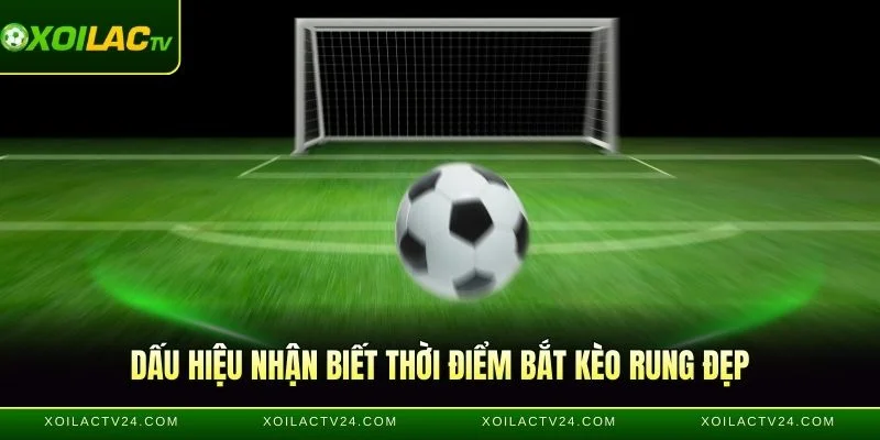 Dấu hiệu nhận biết thời điểm bắt kèo rung đẹp