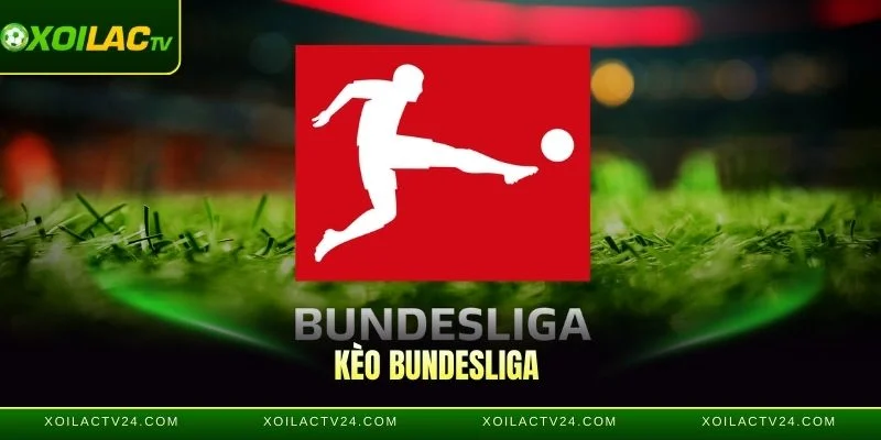 Kèo Bundesliga Là Gì? Cách Đọc Và Bắt Kèo Hiệu Quả