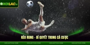 Kèo Rung - Bí Quyết Quan Trọng Trong Cá Cược