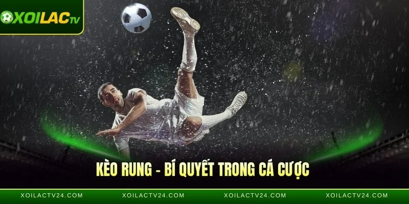 Kèo Rung - Bí Quyết Quan Trọng Trong Cá Cược