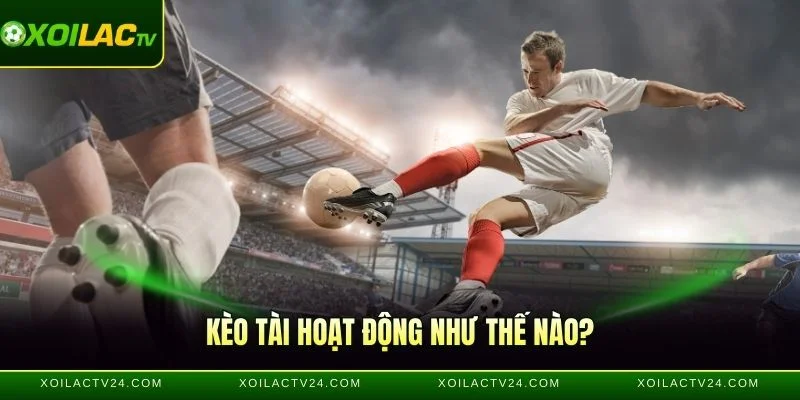 Kèo Tài hoạt động như thế nào
