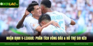 nhận định V-League