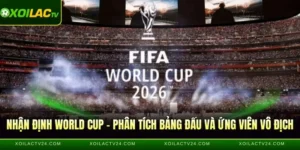 nhận định World Cup